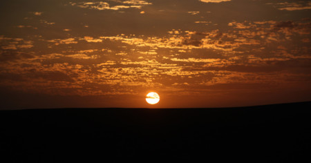 Desierto En Toyota 4x4 14