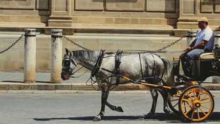 Coche Caballos Malaga 1