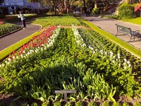 El Jardín Botánico de Wellington