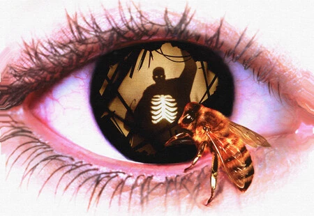 'Candyman': cómo la obra maestra de horror de Bernard Rose dialoga con la secuela de Nia DaCosta y su trasfondo racial