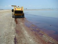 La compensación de BP por la mancha de petróleo, para promoción turística de Florida