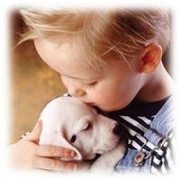Las bacterias de las mascotas pueden provocar a los niños el Síndrome Urémico Hemolítico