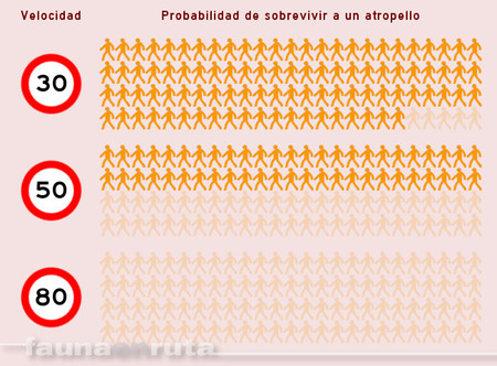 Probabilidad de supervivencia ante un atropello