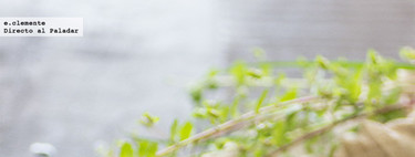 Por qué deberías preferir patatas en ensalada y no en puré 