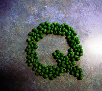 La Calidad en la cuerda floja 