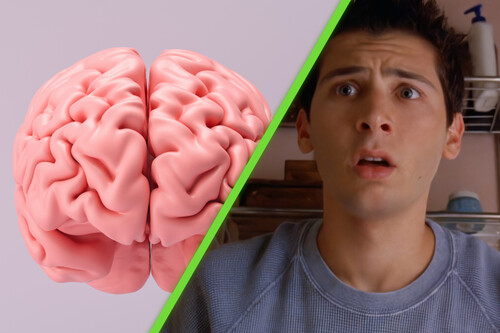El “modo Reese” es real: científicos confirman que “apagar el cerebro” y quedarse en blanco es una función normal de la mente humana