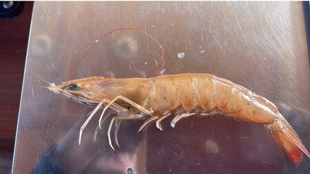 Screenshot 2026 03 01 At 8 34 58