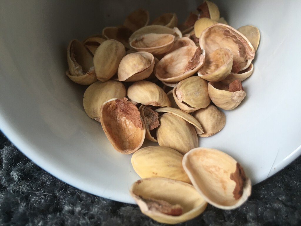 Antes tiraba las cáscaras de pistacho, pero ahora me he dado cuenta de que son un tesoro para mis plantas 