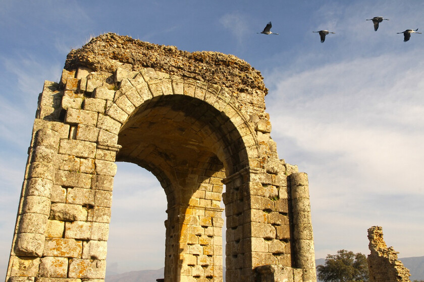Resto Romano Unico Espana Extremadura