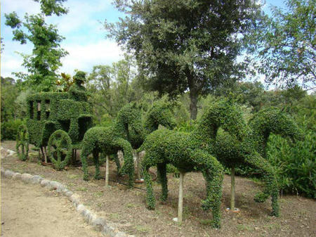 Bosque2