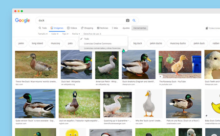En Google Imágenes ahora es más fácil encontrar una imagen de uso libre o saber si tiene copyright