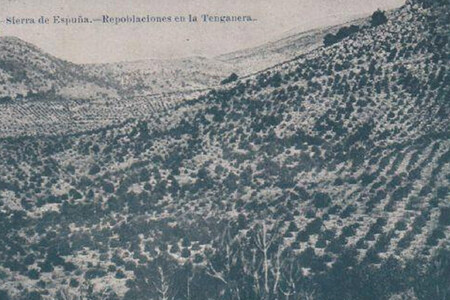 Sierra De Espuna