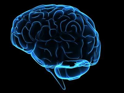 Nuestro cerebro está siempre drogado: ¿cómo sacarle partido? (I)