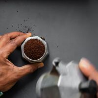 Se acabó el tirar los posos del café: así puedes usarlos para fertilizar las plantas que tengas en tu terraza, patio o jardín 