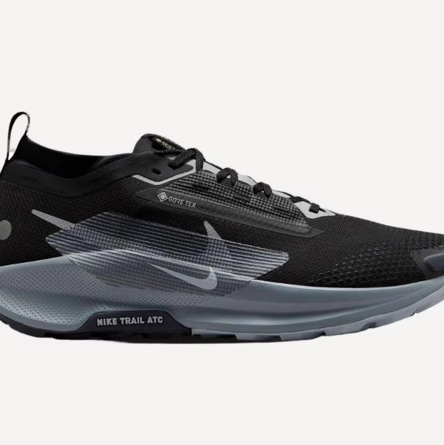 Zapatillas de Trail Running de hombre NIKE PEGASUS TRAIL 5 GTX Nike Negro

