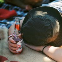 Emborracharse sin probar una gota de alcohol es posible, y el 'culpable' está en las bacterias del intestino