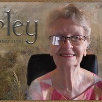 Idosa de 90 anos que jogava Skyrim encerra a carreira de streamer, agora de vez; e a culpa é de "todas essas crianças" 