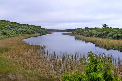 Haast, la región más remota de Nueva Zelanda