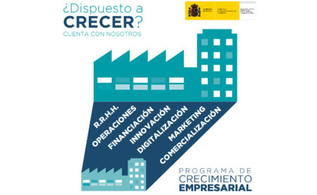 Programa de Crecimiento Empresarial para mejorar la competitividad de la pyme