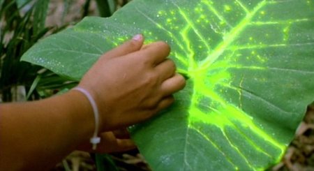 ¿Por qué creemos que el material radioactiva es verde y brilla en la oscuridad?