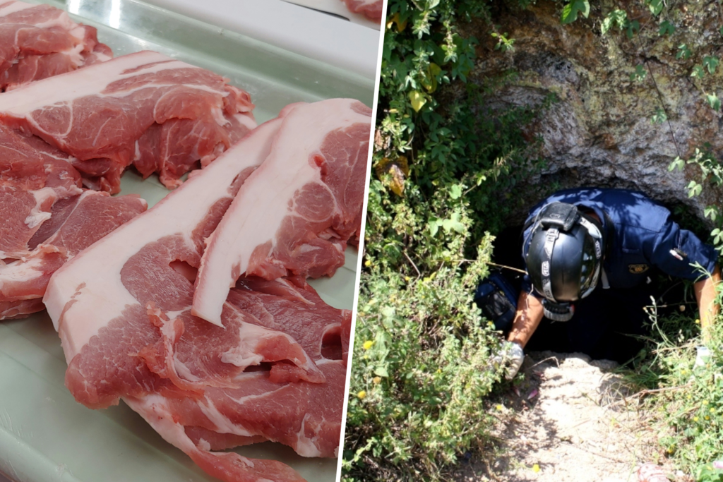 Mientras todo se pone más caro que nunca, una peste nos ha regalado algo: cerdo más barato