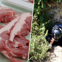 Mientras todo se pone más caro que nunca, una peste nos ha regalado algo: cerdo más barato