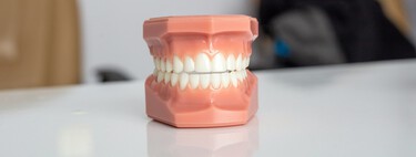 Estamos un poco más cerca de cumplir el sueño de los dentistas: dientes que vuelven a crecer