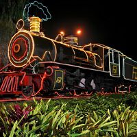 ¡Llega la Navidad y el Tren de la Sabana lo sabe! Todo sobre los precios, fechas y horarios para que no te pierdas su recorrido navideño  