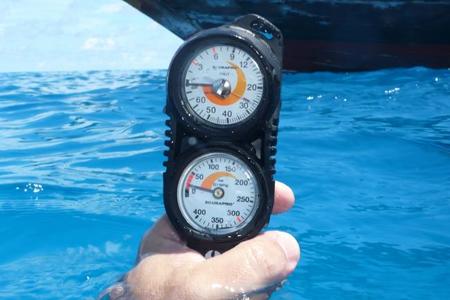 tiburones_3-1.jpg