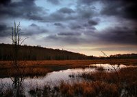 El pantano de la mediocridad