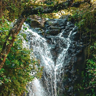 Este es el destino cerca de CDMX donde puedes disfrutar de una cascada, paisajes naturales y aventuras extremas este Año Nuevo