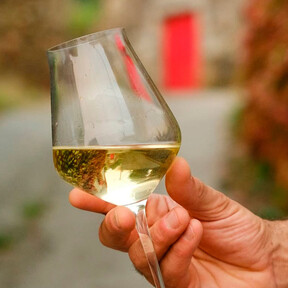 Hace 50 años, el albariño no se embotellaba. Ahora, etiquetas como esta rinden homenaje al padre de este vino 