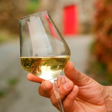 Hace 50 años, el albariño no se embotellaba. Ahora, etiquetas como esta rinden homenaje al padre de este vino 