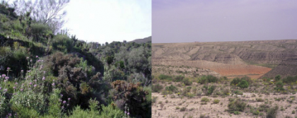 Nuevo sistema para alertar sobre desertización creado por el CSIC