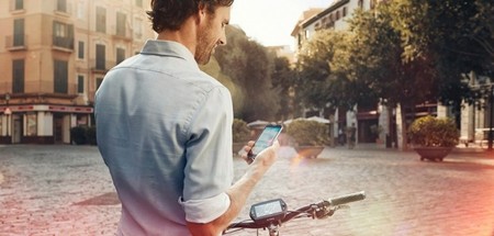 Bosch Ebike Nyon 1 W734