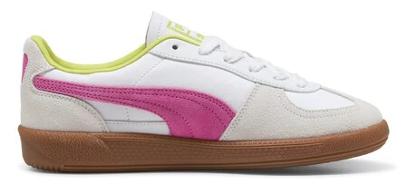 Puma2