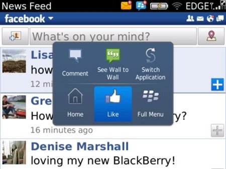 RIM publica beta de Facebook for BlackBerry 2.0