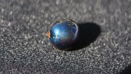 El fruto de una planta africana es el objeto más brillante de la naturaleza (producido biológicamente)