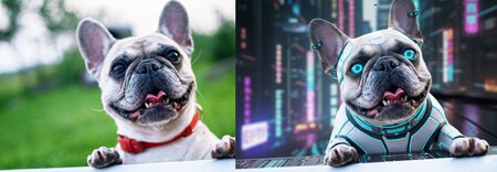 Pexels Pixabay 160846