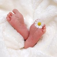 Los nuevos derechos y condiciones para los autónomos que sean padres en 2020