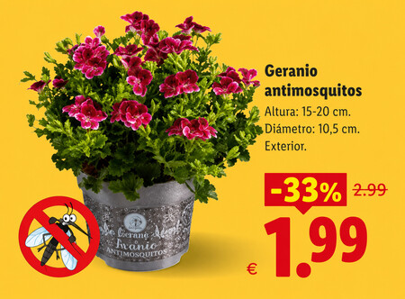 GERANIO