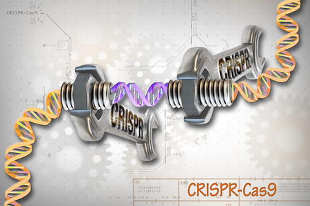 Crispr Cas9 Editing Of The Genome 26453307604