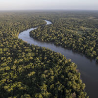 Brasil dividido: Petrobras perfura poço exploratório na região da Foz do Amazonas e gera debate entre ambientalistas