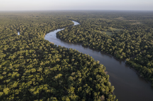 Rio da Amazônia. Créditos:	Anderson Coelho/GettyImages