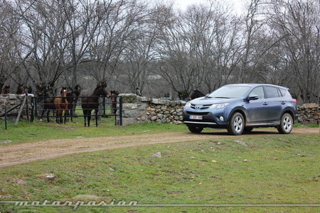 Toyota RAV4 2013 en el campo