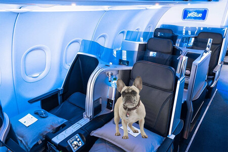 JETBLUE2