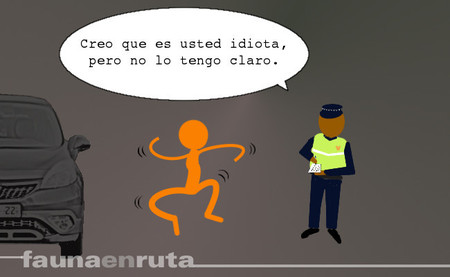 fauna en ruta: los límites de la estupidez