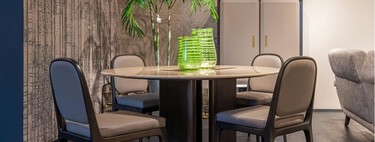 Estas plantas sobreviven con poca luz y no son ni la lengua de suegra ni el poto