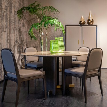 Estas plantas sobreviven con poca luz y no son ni la lengua de suegra ni el poto