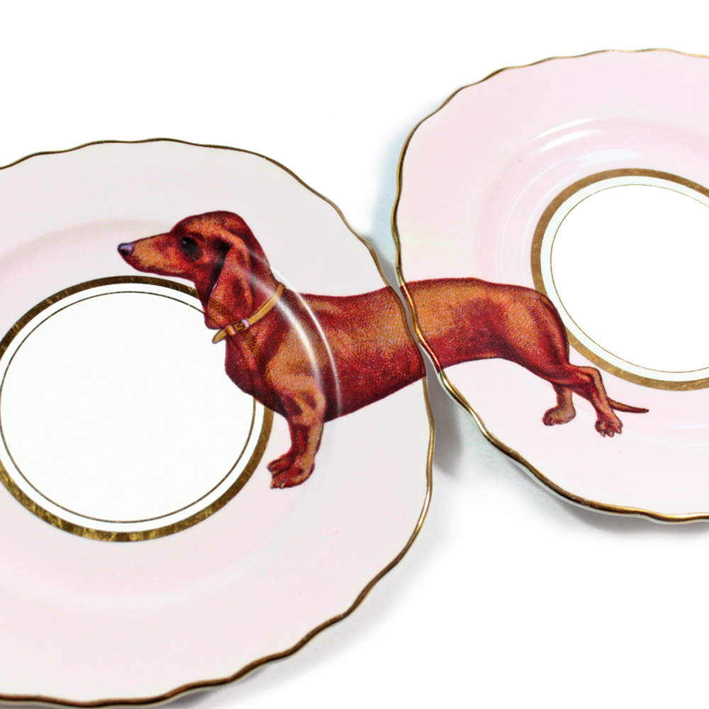 Foto de Yvonne Ellen (14/28)